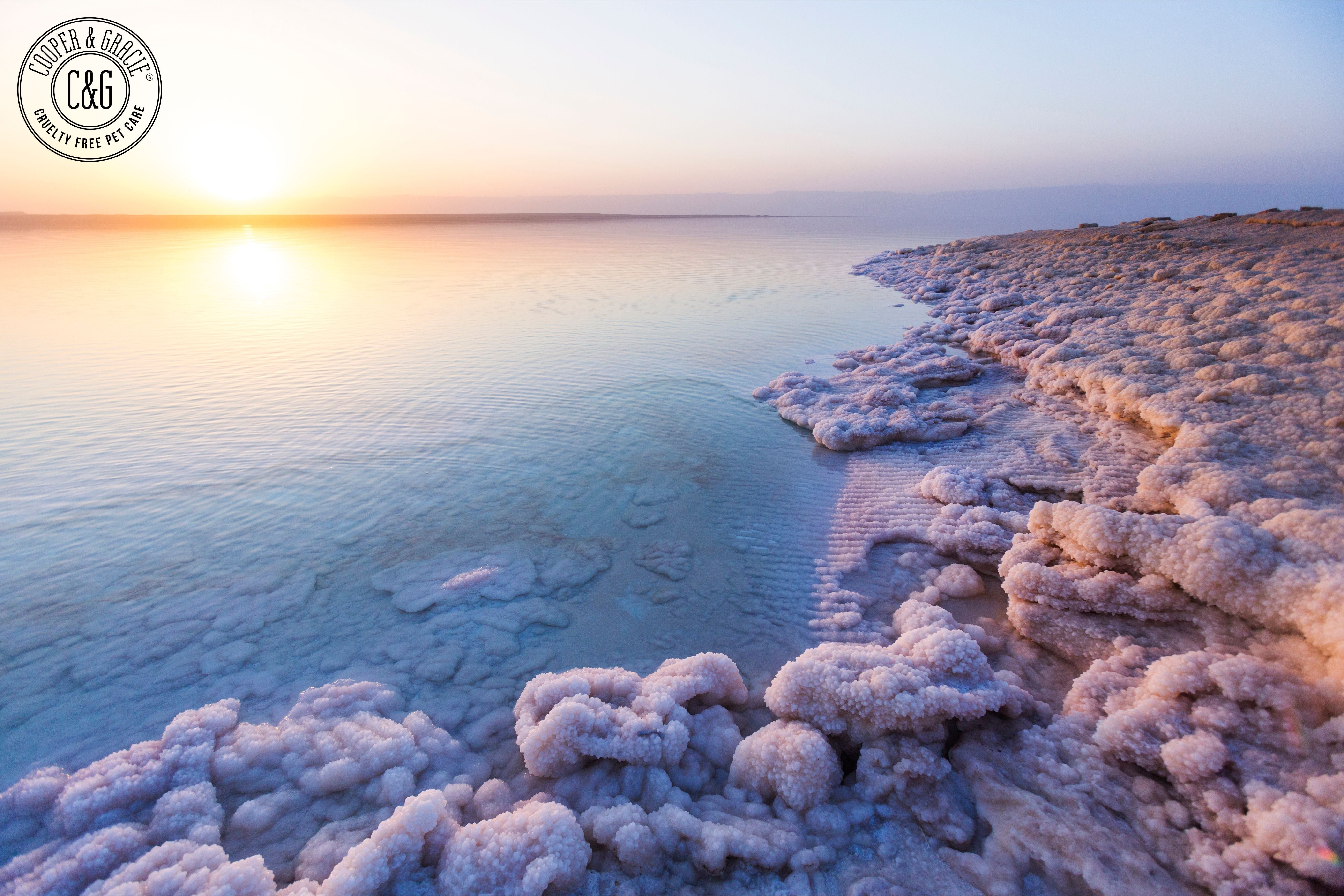 How Dead Sea Minerals Help Support Your Dog’s Skin Comfort