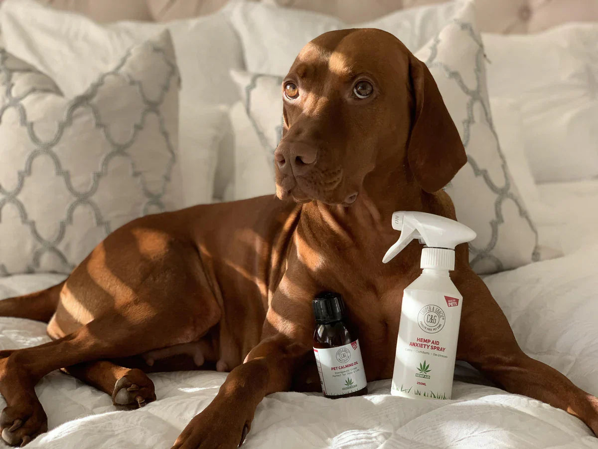 Hemp Seed Oil for Dogs and Cats | 12 Ways It WORKS | Cooper & Gracie