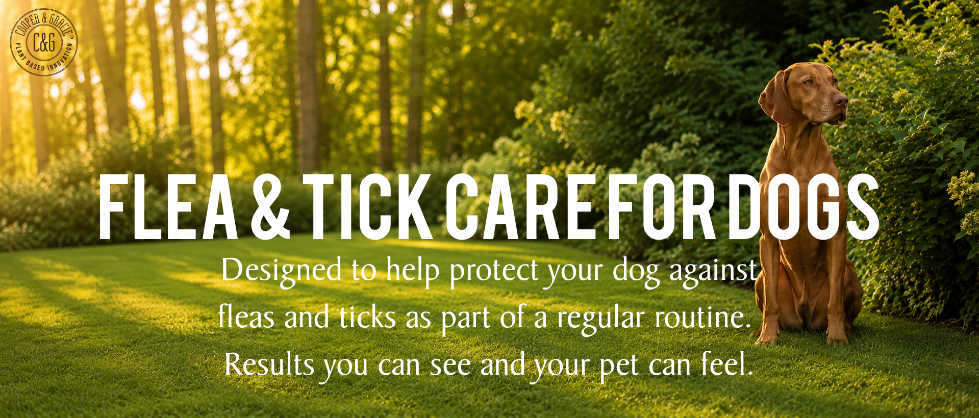 Flea & Tick for Dogs