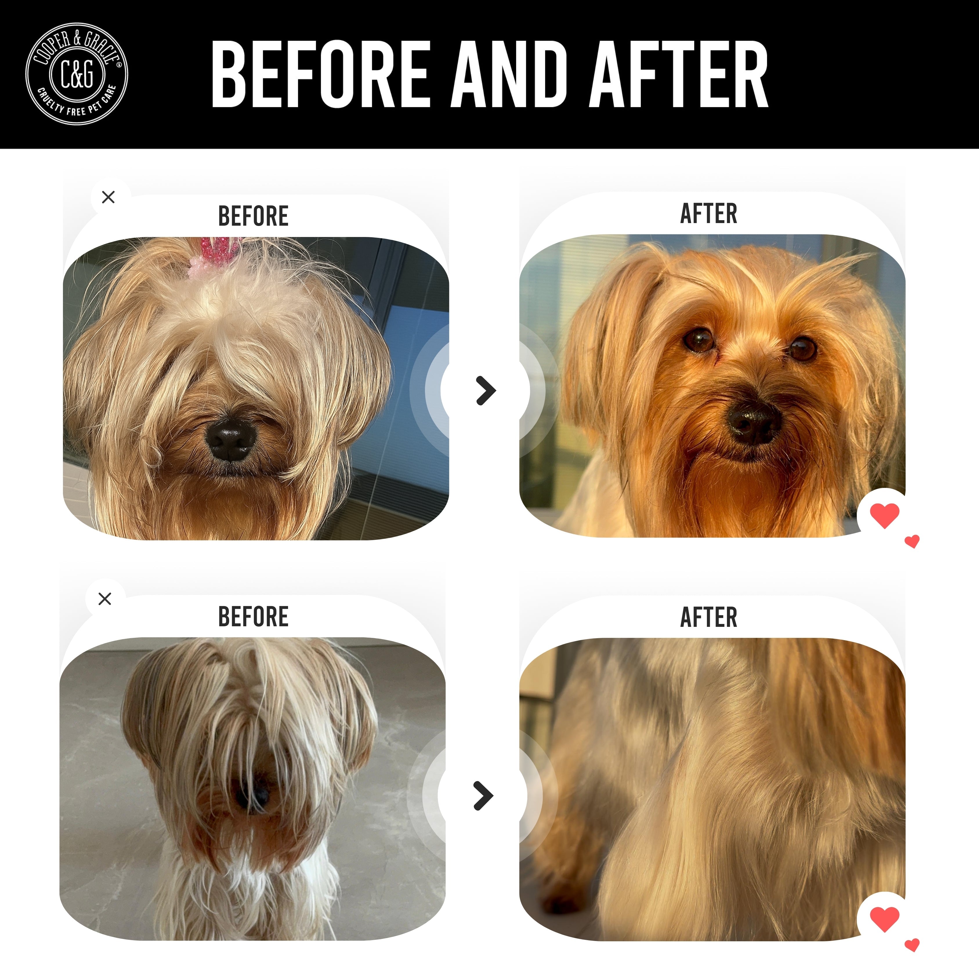 Dead Sea Itchy Dog Flea & Tick Shampoo – 300ml | Insecticide-Free, Vet-Developed Relief US