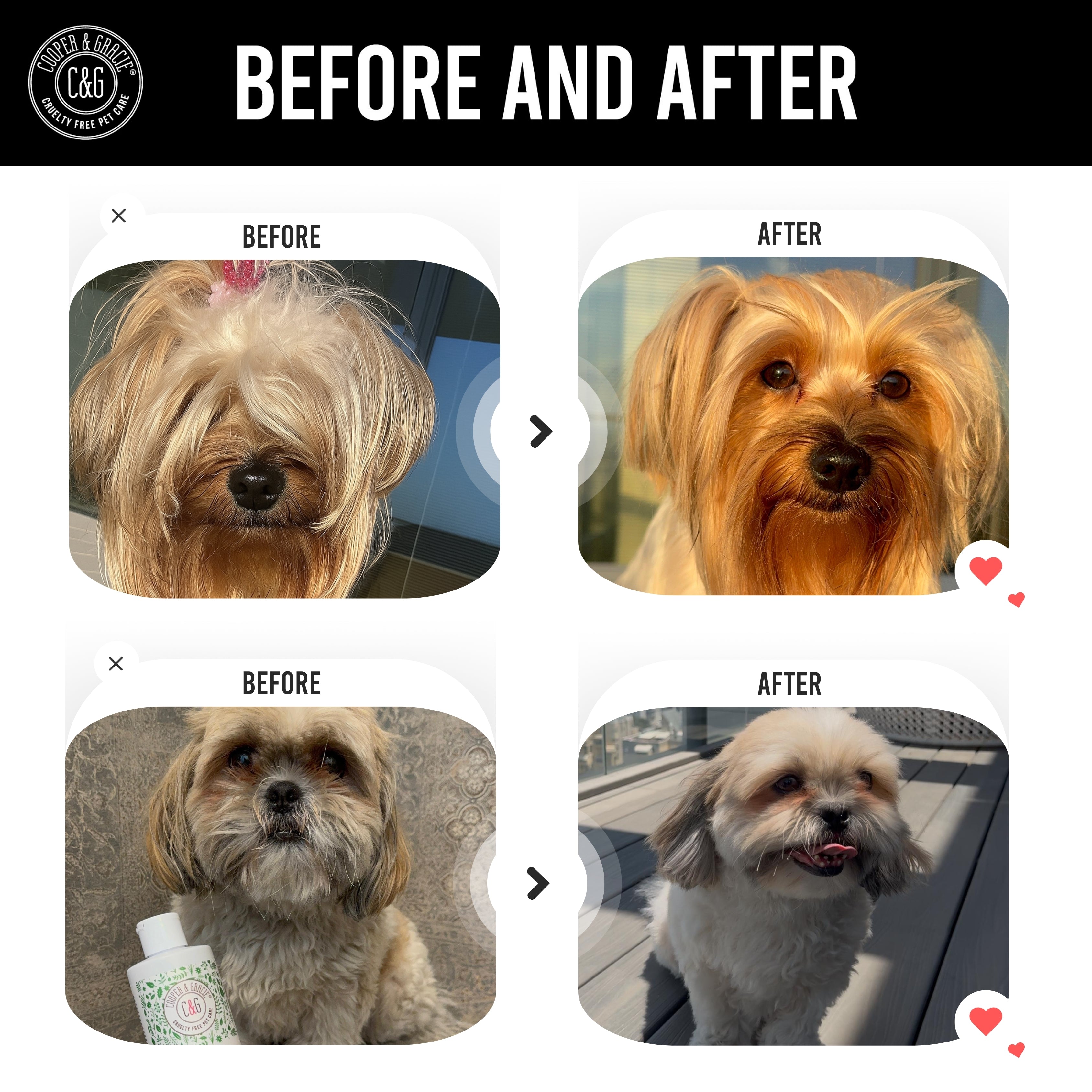 Flea & Tick Dog Spray – Dead Sea Formula – 250ml - US