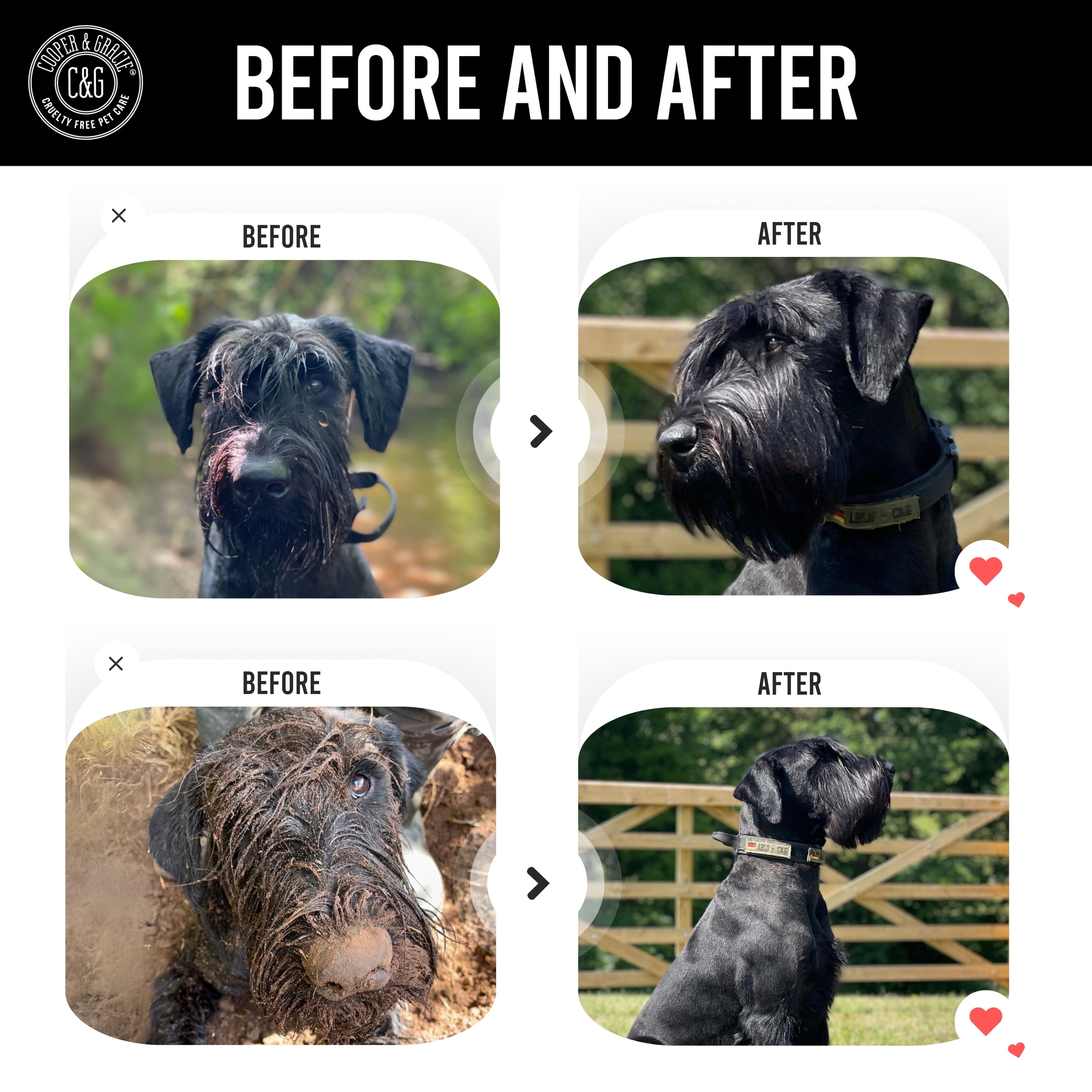 Dead Sea Itchy Dog Flea & Tick Shampoo – 300ml | Insecticide-Free, Vet-Developed Relief US