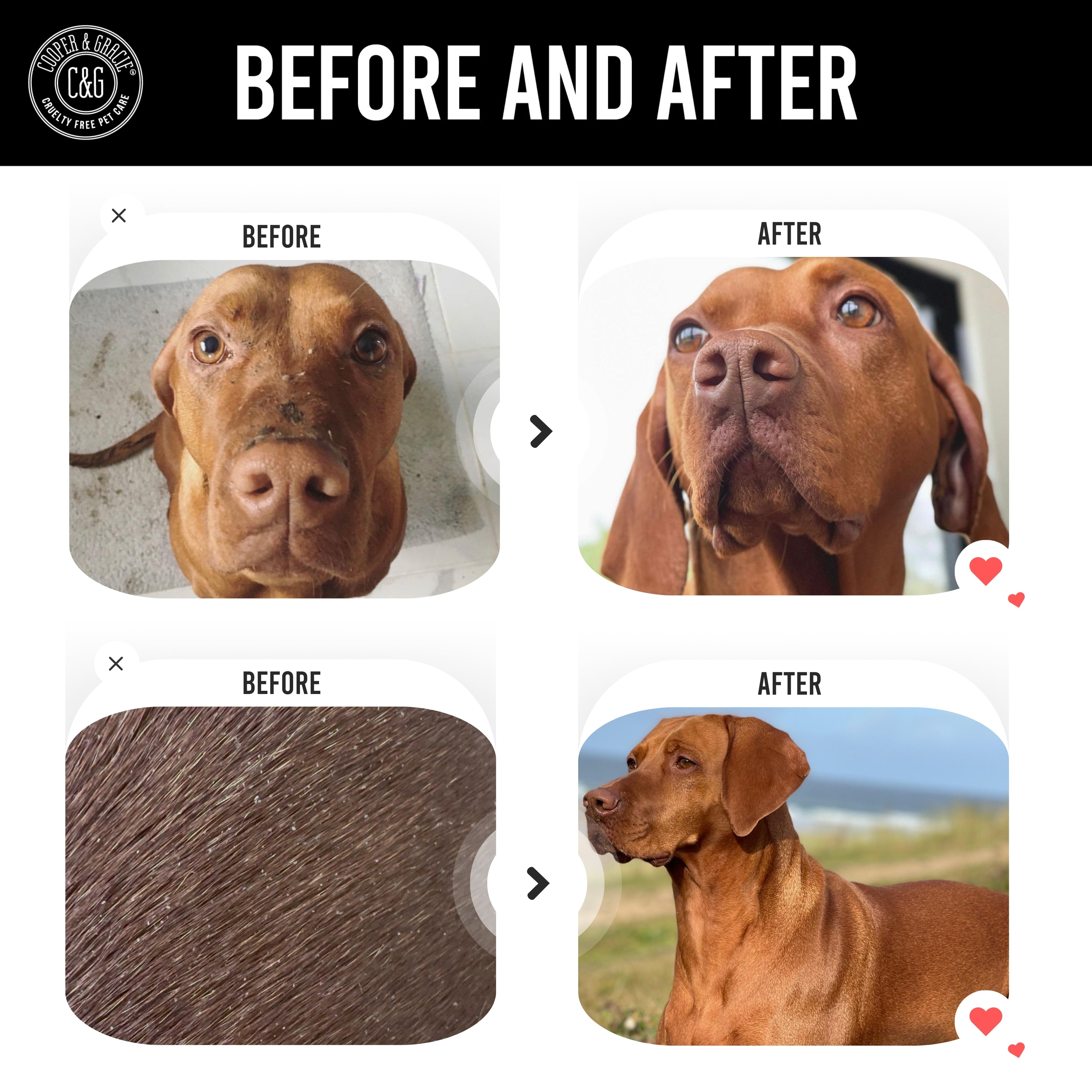 Dead Sea Anti-Bacterial & Anti-Fungal Dog Spray – 250ml – Soothes Itchy Skin Naturally US