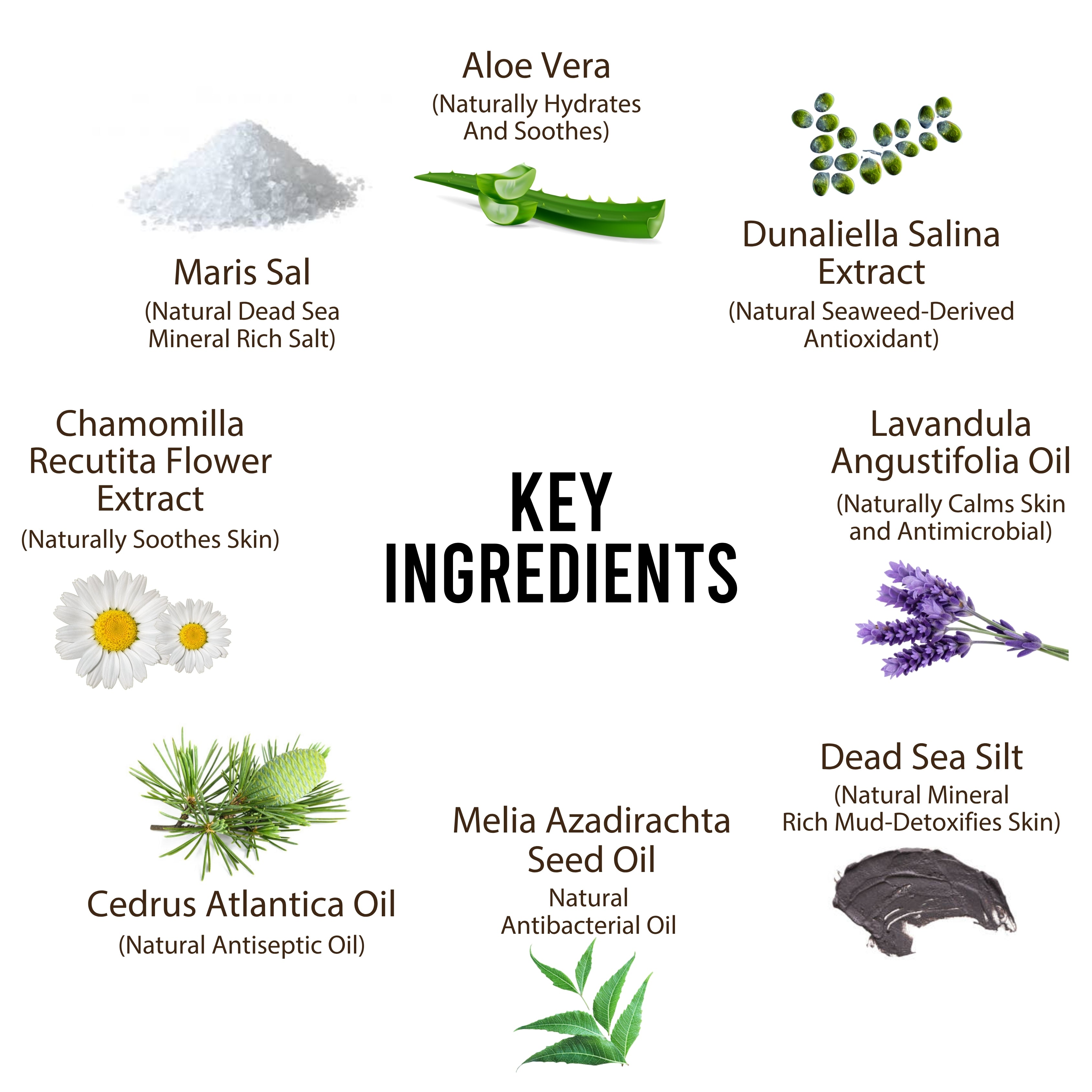 Dead Sea Itchy Dog Flea & Tick Shampoo – 300ml | Insecticide-Free, Vet-Developed Relief US