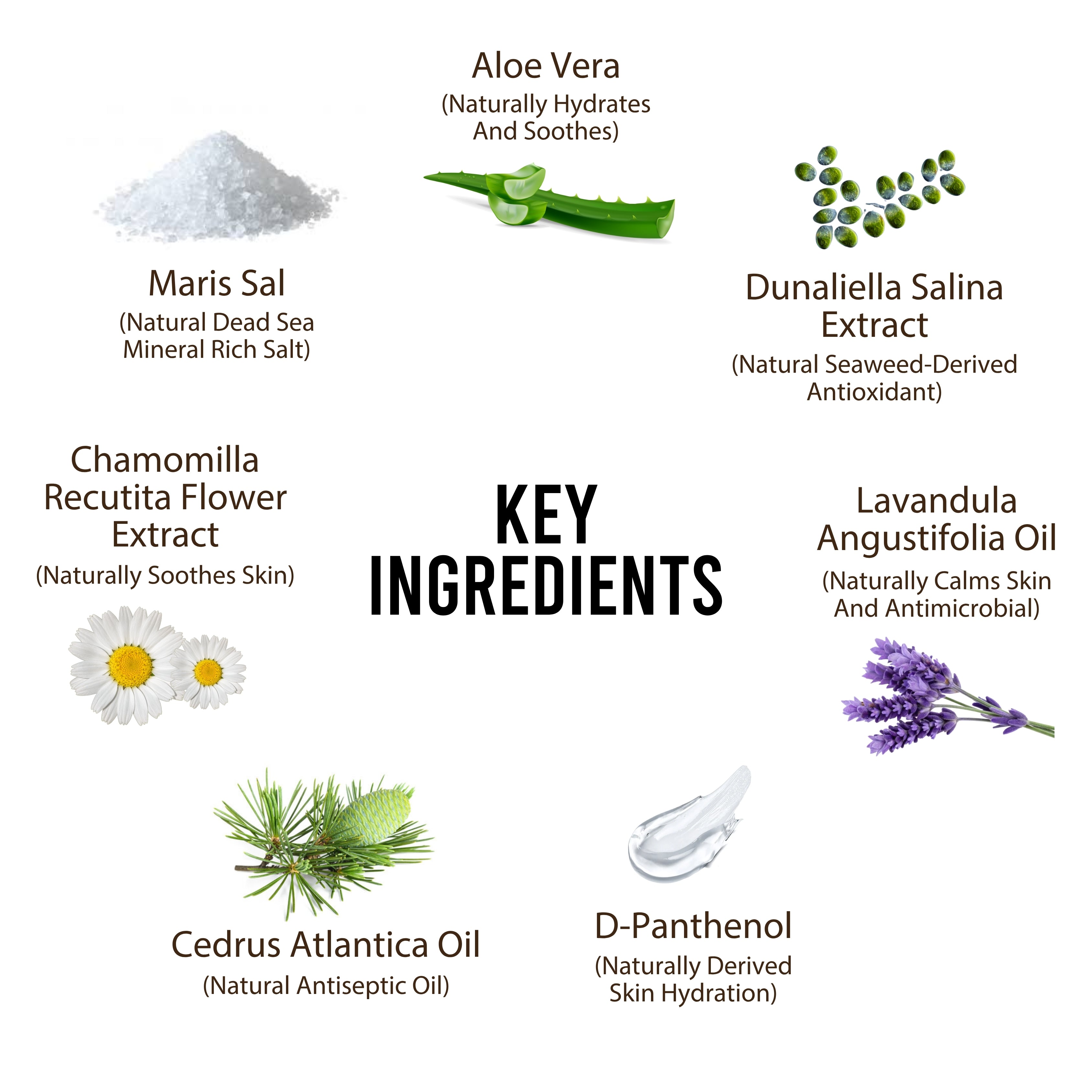 Flea & Tick Dog Spray – Dead Sea Formula – 250ml - US