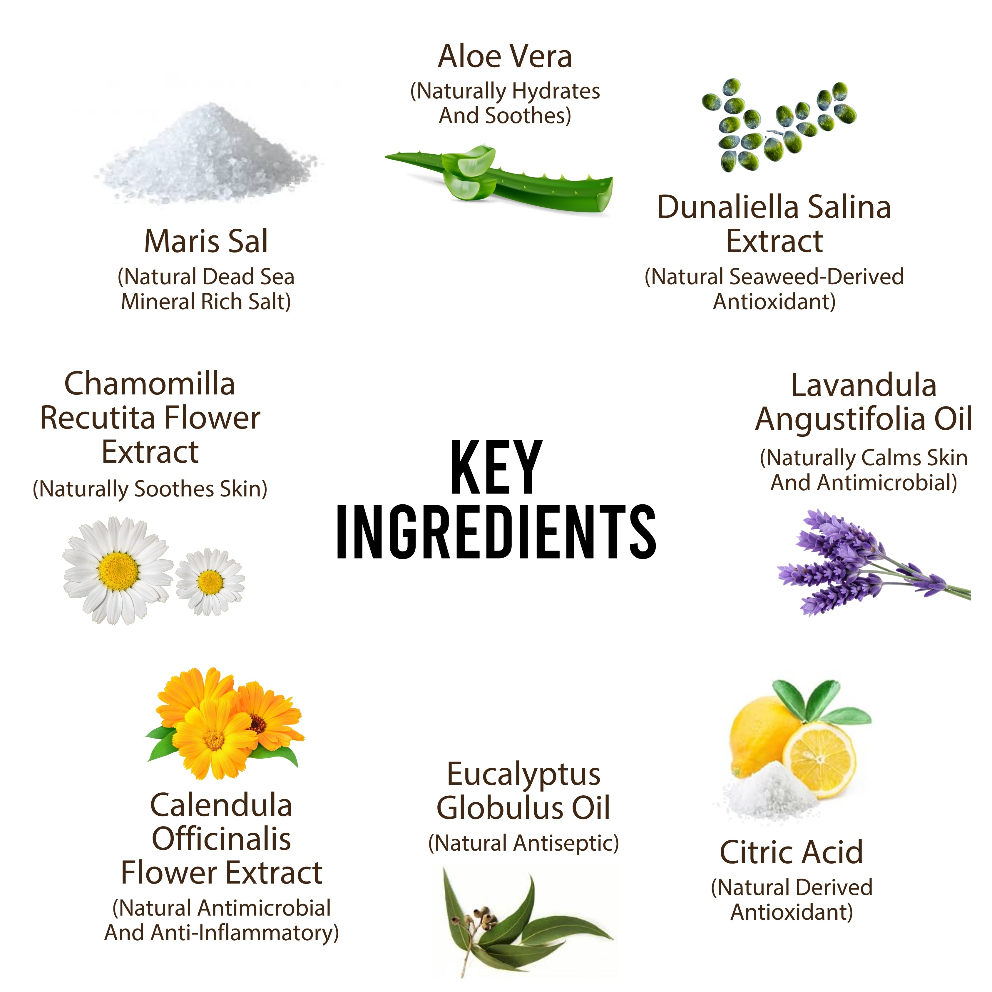 Dead Sea Anti-Bacterial & Anti-Fungal Dog Spray – 250ml – Soothes Itchy Skin Naturally US