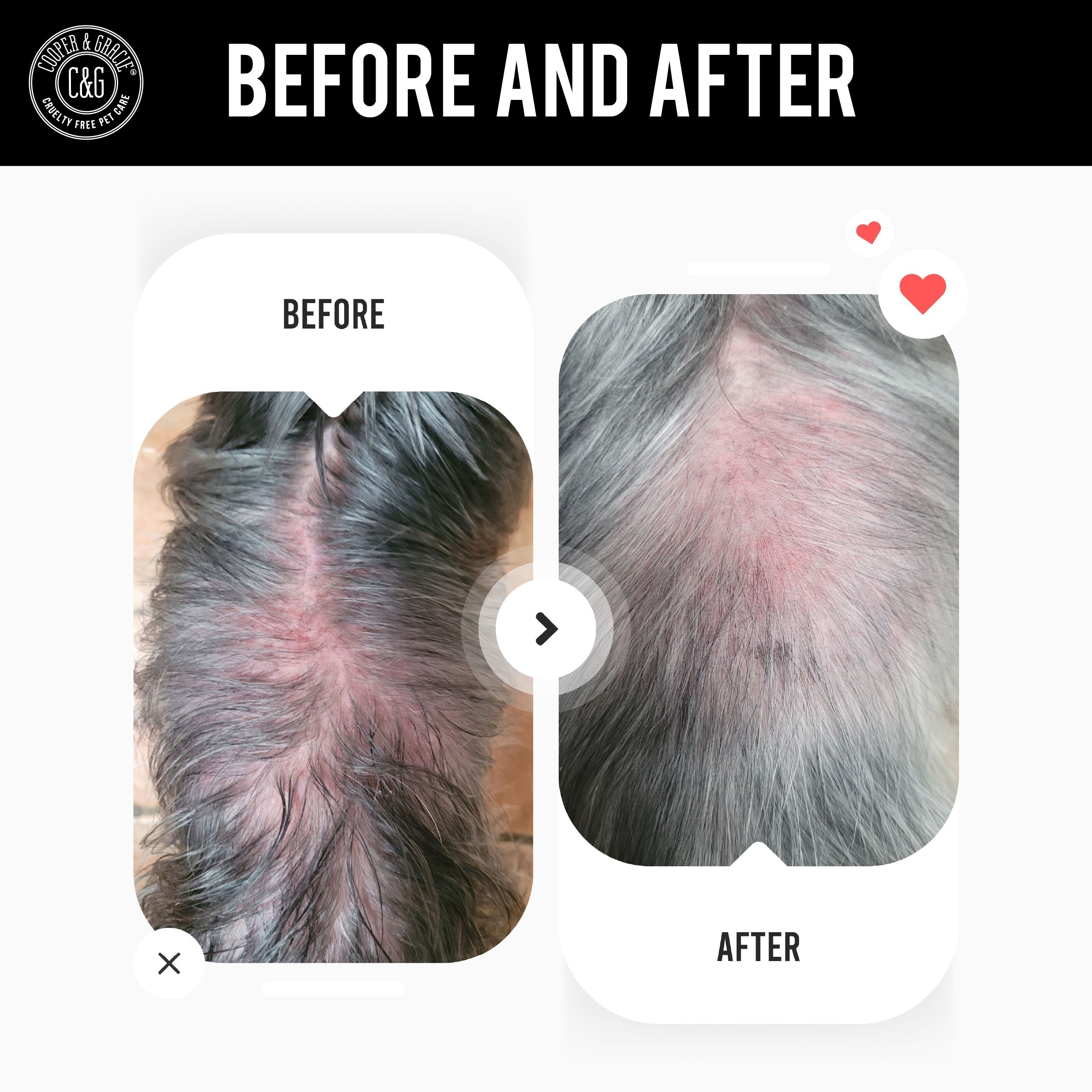 Dead Sea Anti-Bacterial & Anti-Fungal Dog Spray – 250ml – Soothes Itchy Skin Naturally US