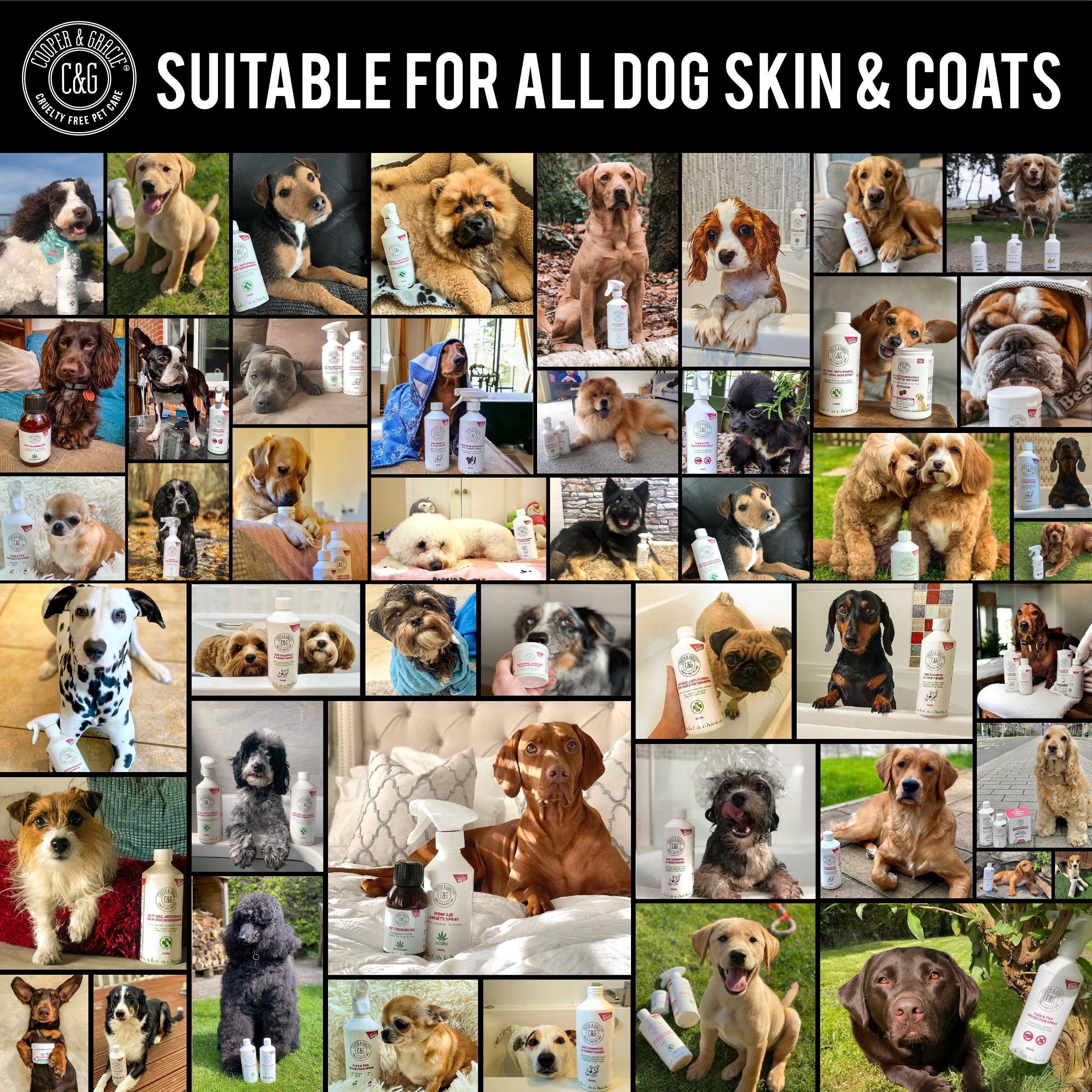 Dead Sea Anti-Bacterial & Anti-Fungal Dog Spray – 250ml – Soothes Itchy Skin Naturally US