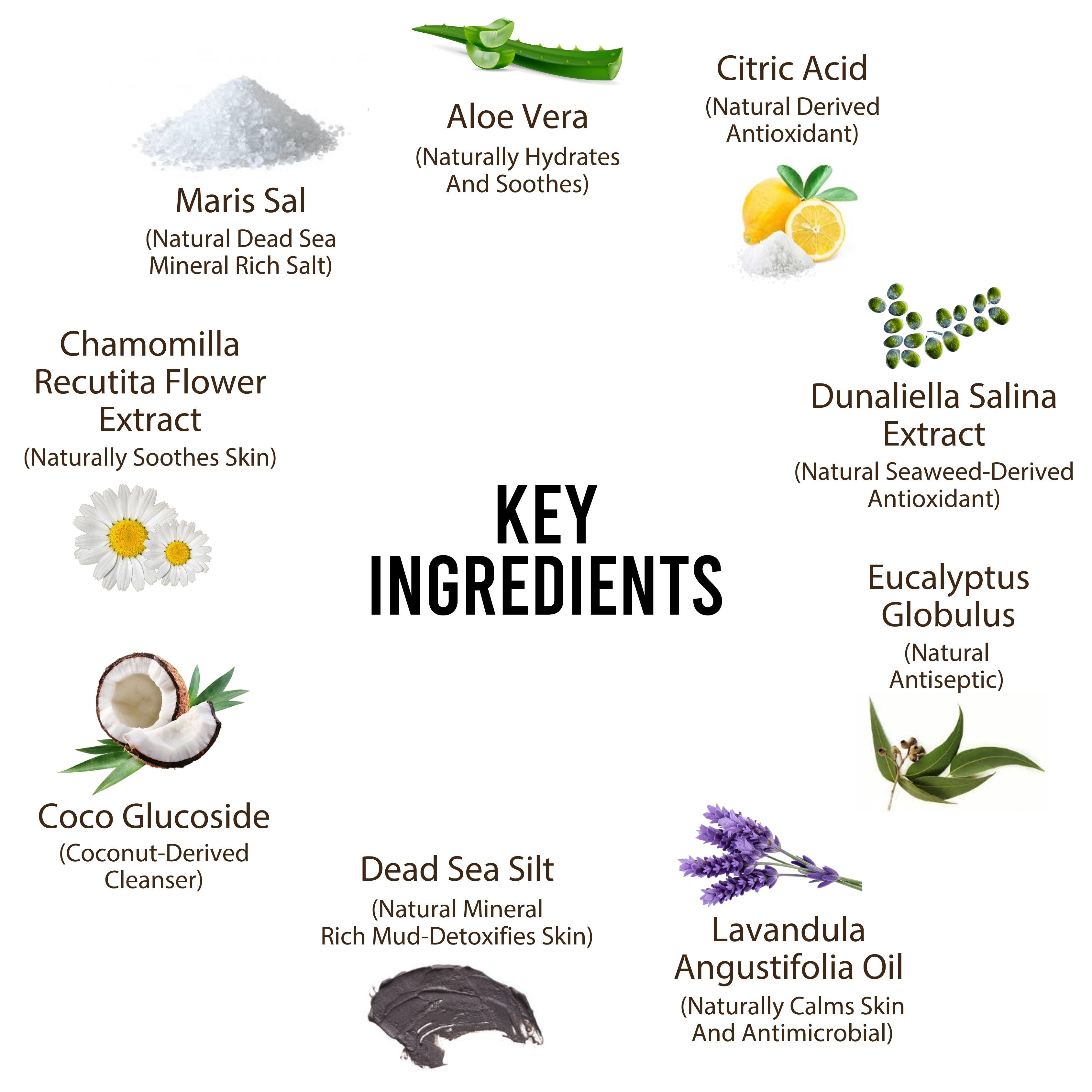 Dead Sea Itchy Dog Shampoo – 300ml | Anti-Itch, Antibacterial & Antifungal