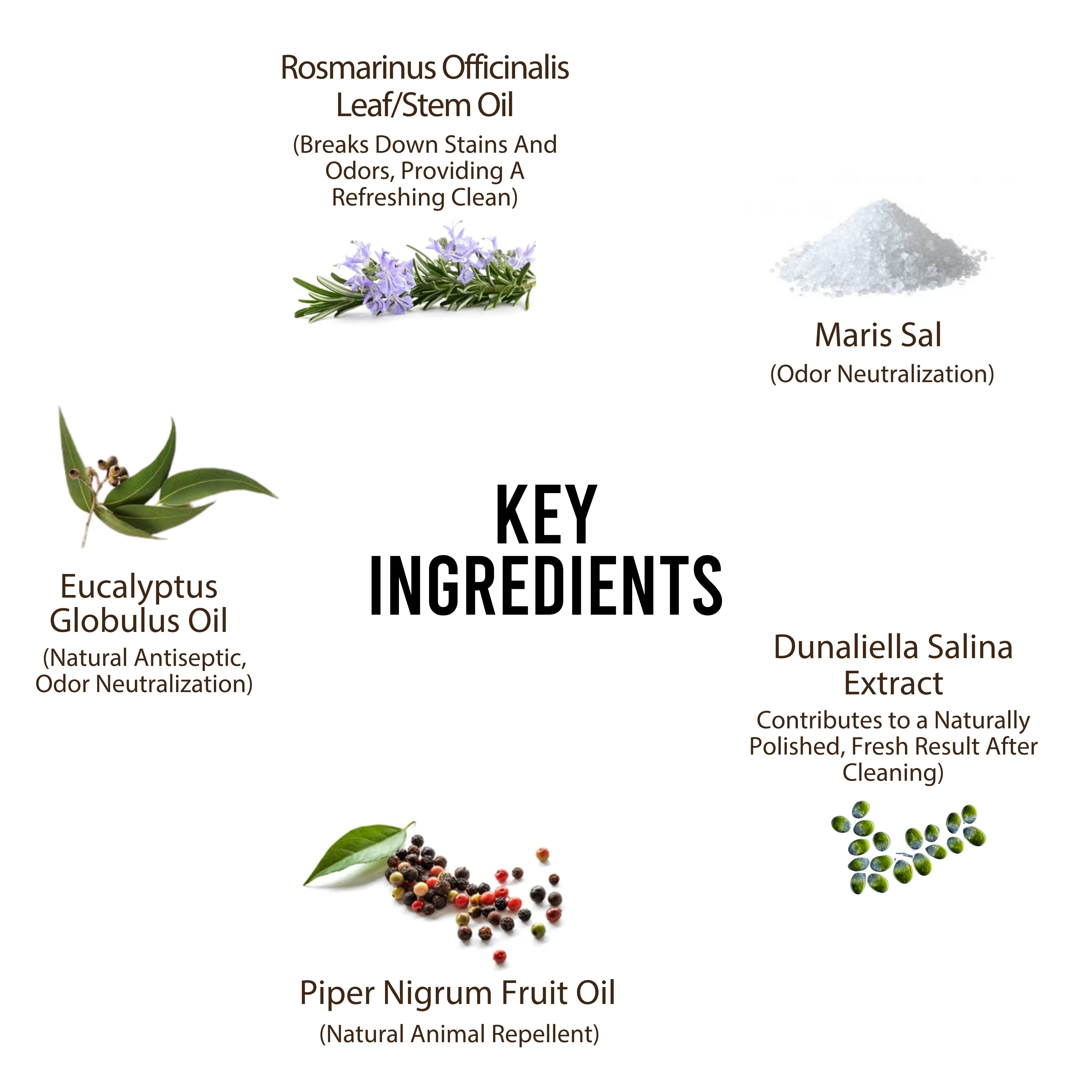 Dead Sea Urine Stop Spray – 400ml – Natural Indoor Dog & Cat Urine Deterrent & Odour Neutraliser