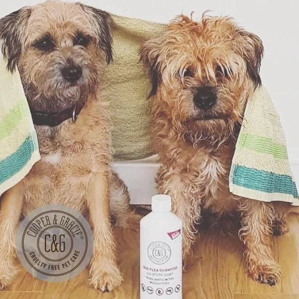 8 Steps to the perfect dog bath