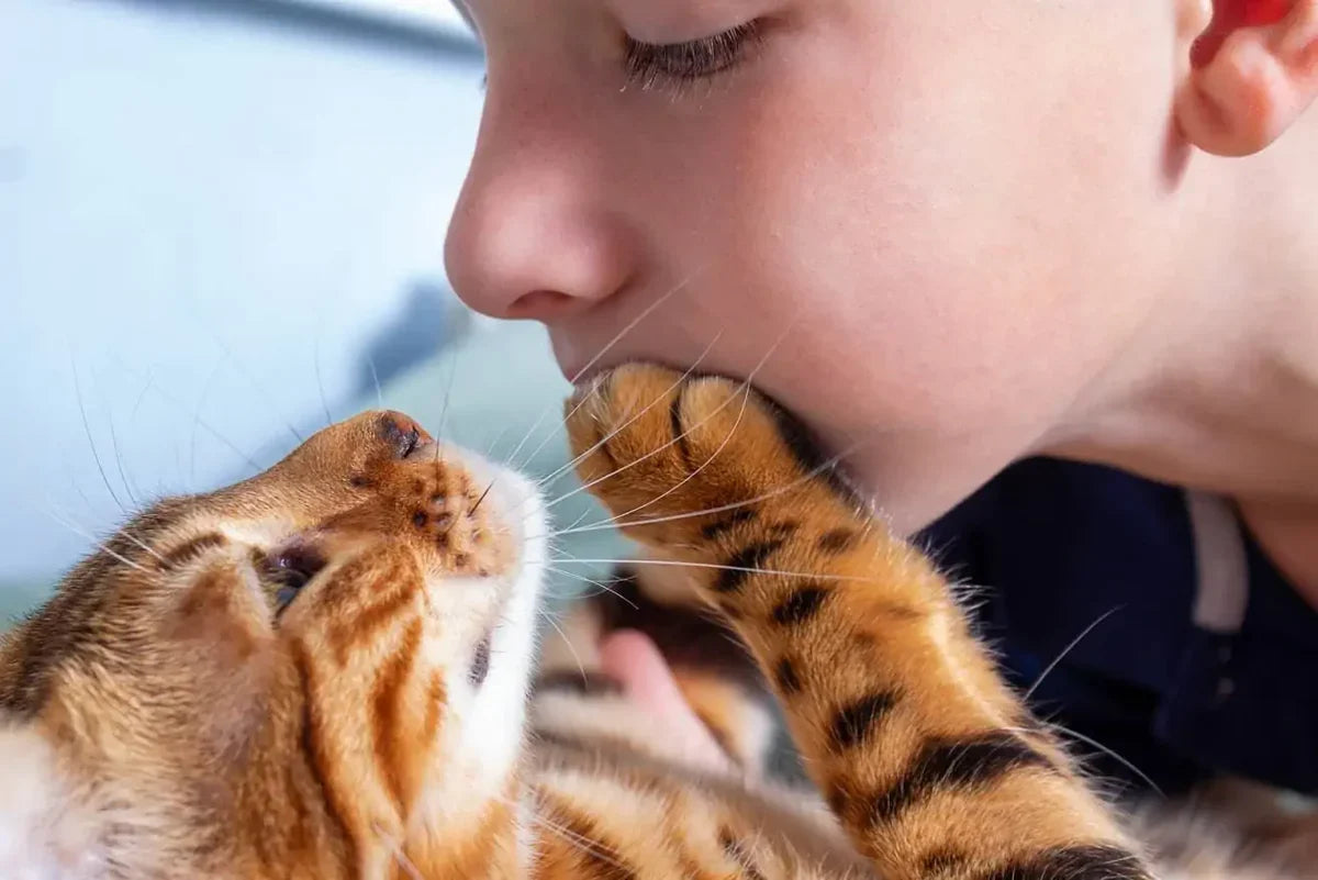 Why Does My Cat Put His Paw on My Mouth?