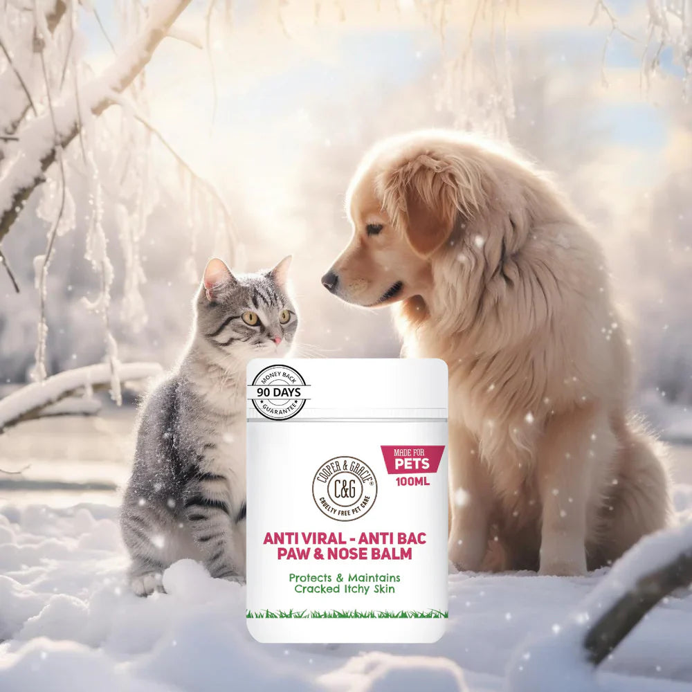 Cooper and Gracie's Dog Paw and Nose Balm