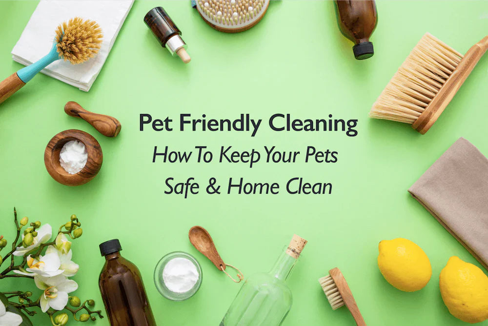 Pet-Friendly Cleaning: How to Keep Your Pets Safe and Your Home Clean