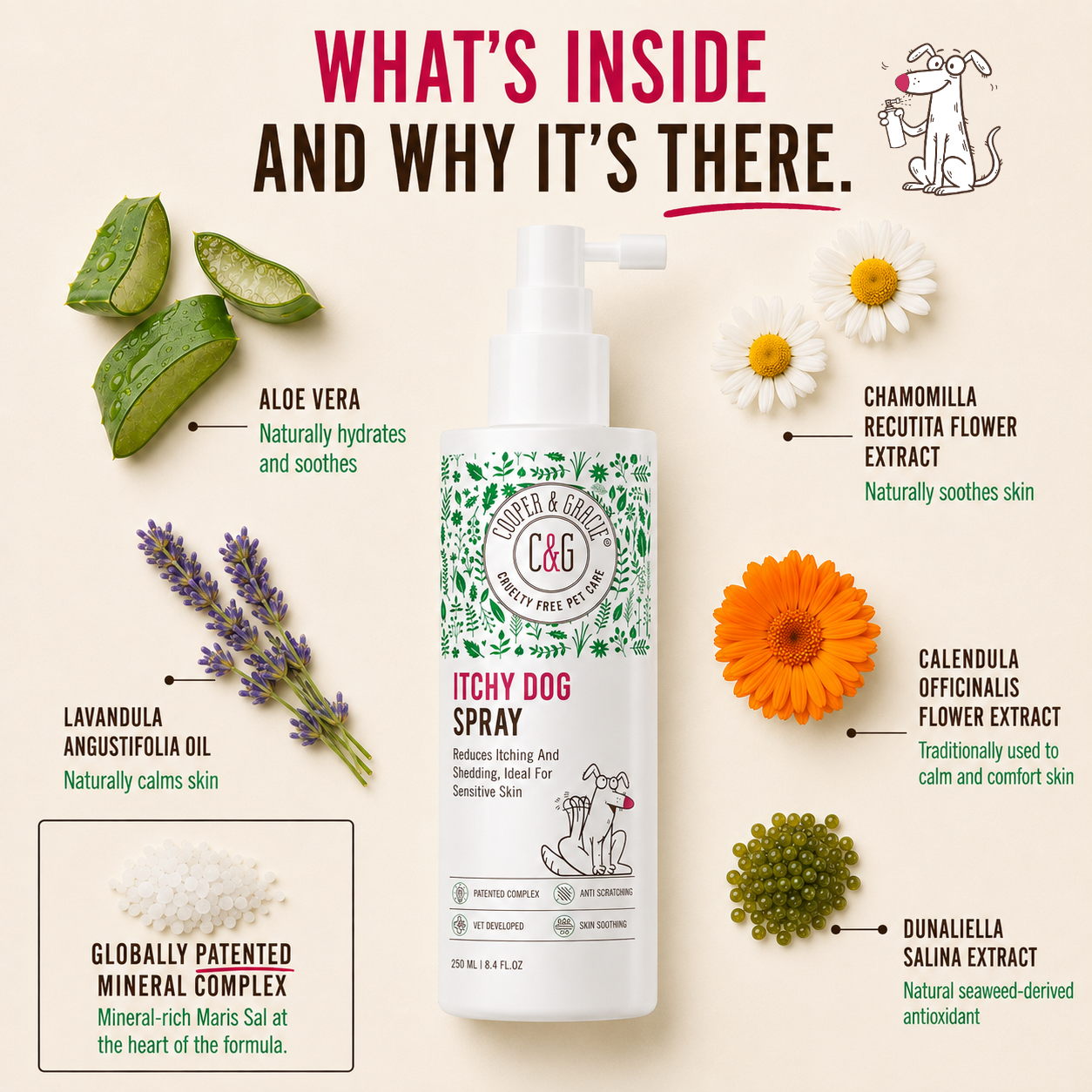 Dead Sea Itchy Dog Spray – 250ml – Soothes Itchy Skin Gently and Effectively