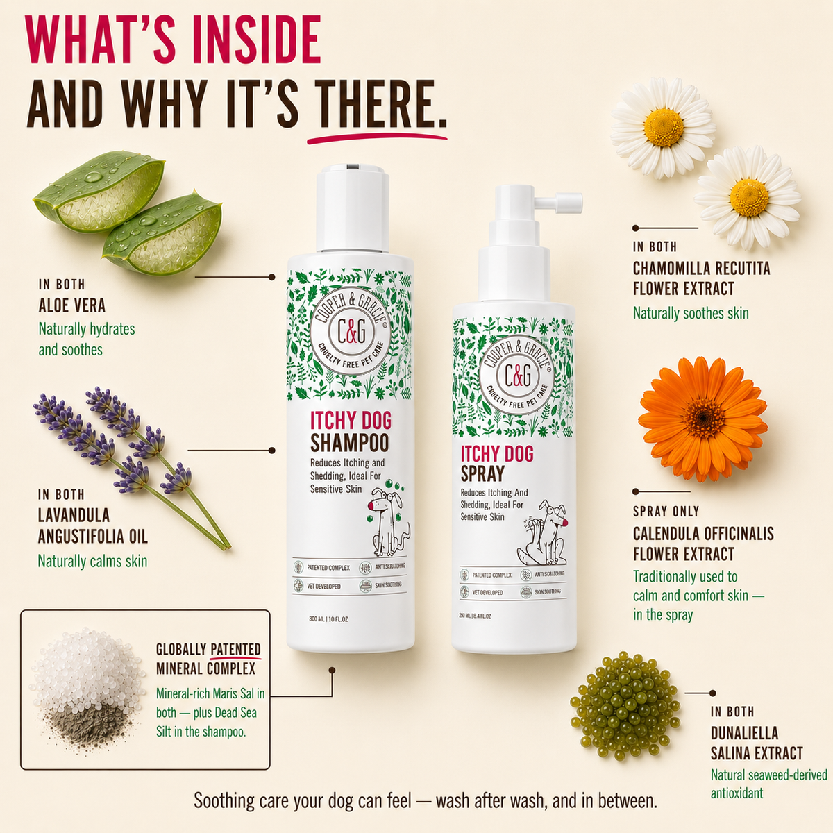 Dead Sea Itchy Dog Shampoo and Spray Bundle